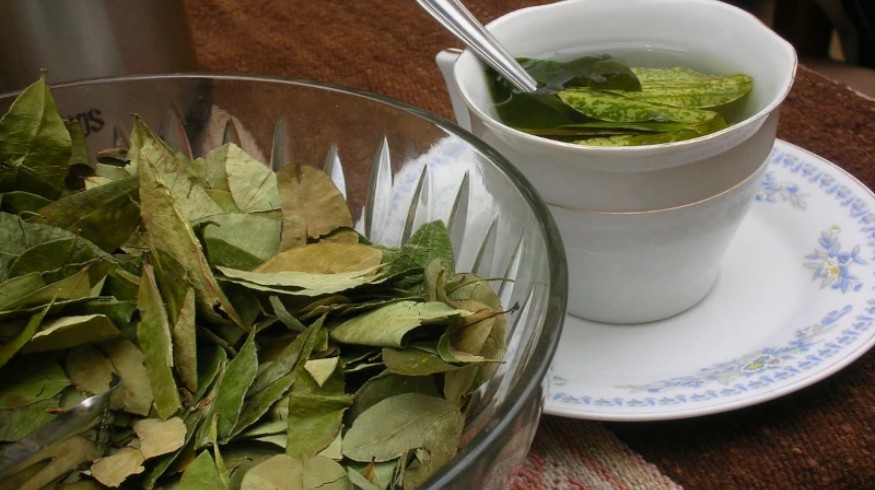 Most hotels in Cusco offer coca tea for free because locals see it as first-line support, not a cure.