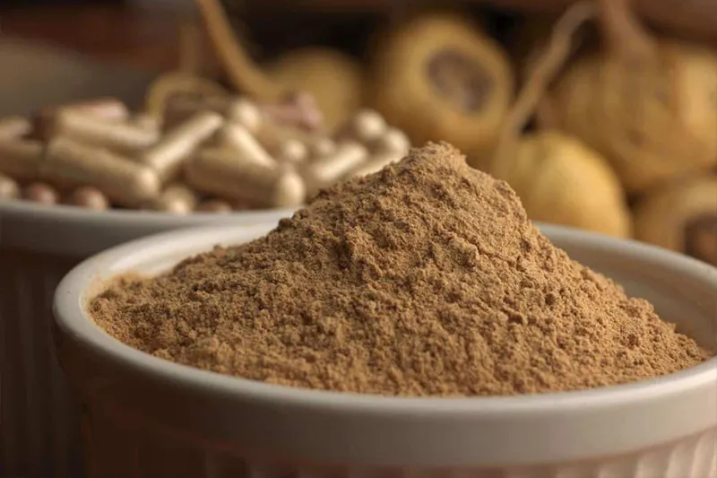 Andean Superfoods: Nutrition Meets Tradition