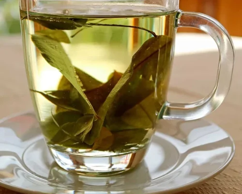 The Benefits of Coca Tea: A Traveler’s Guide