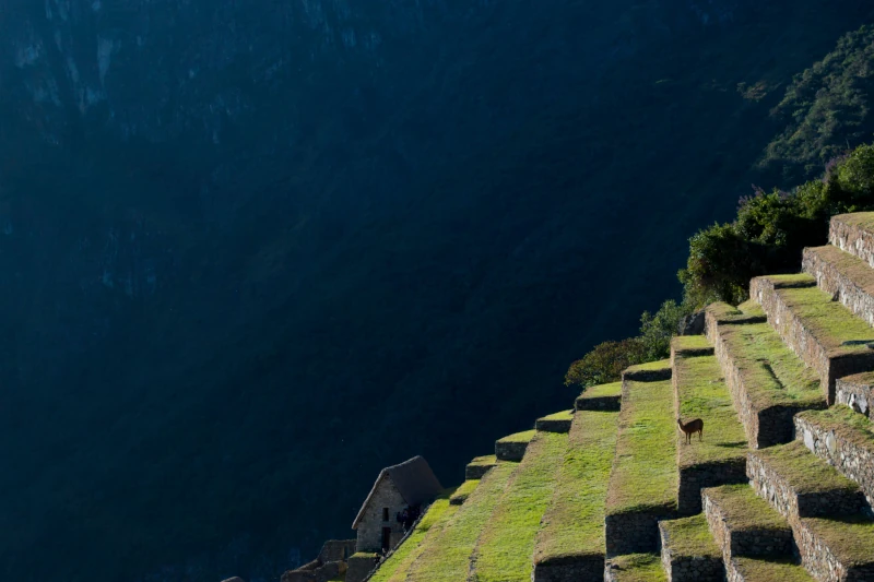 Machu Picchu Ticket Options: Which One is Right for You?
