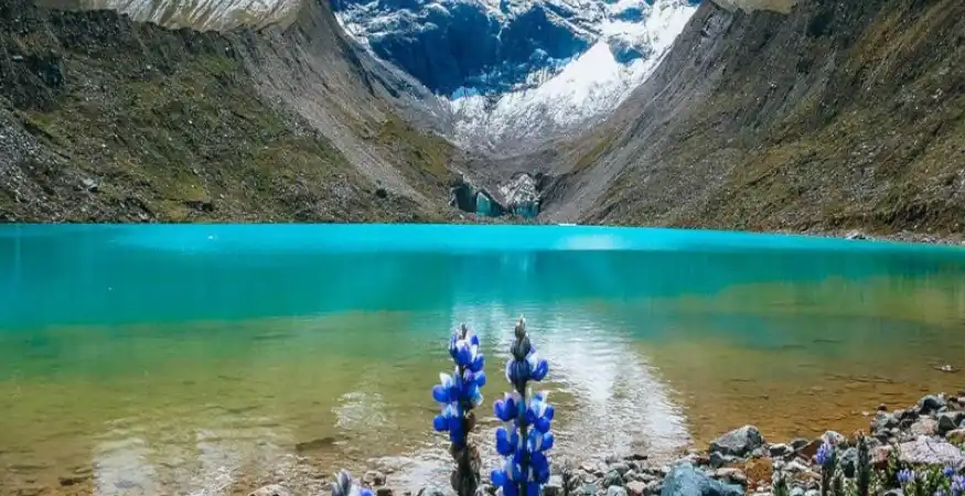 Turquoise Humantay Lake with wildflowers in the foreground and snow-covered peaks in the background – Magical Cusco Travel Agency