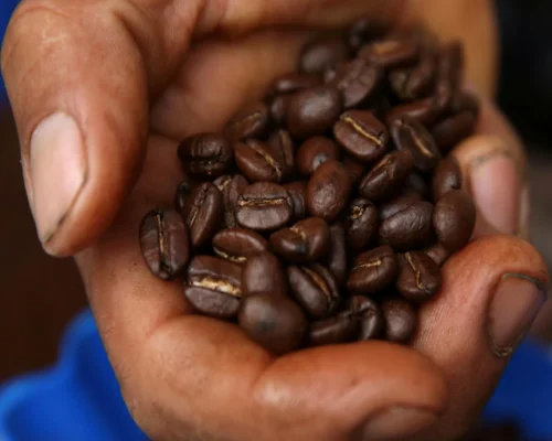 Cusco Coffee: A Guide to Peru’s Coffee Culture