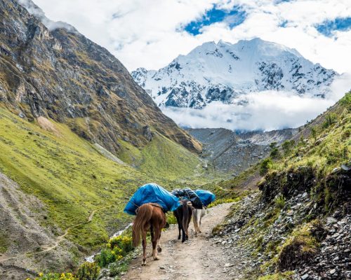 Salkantay Trek Packing List: Essentials for Your Machu Picchu Adventure