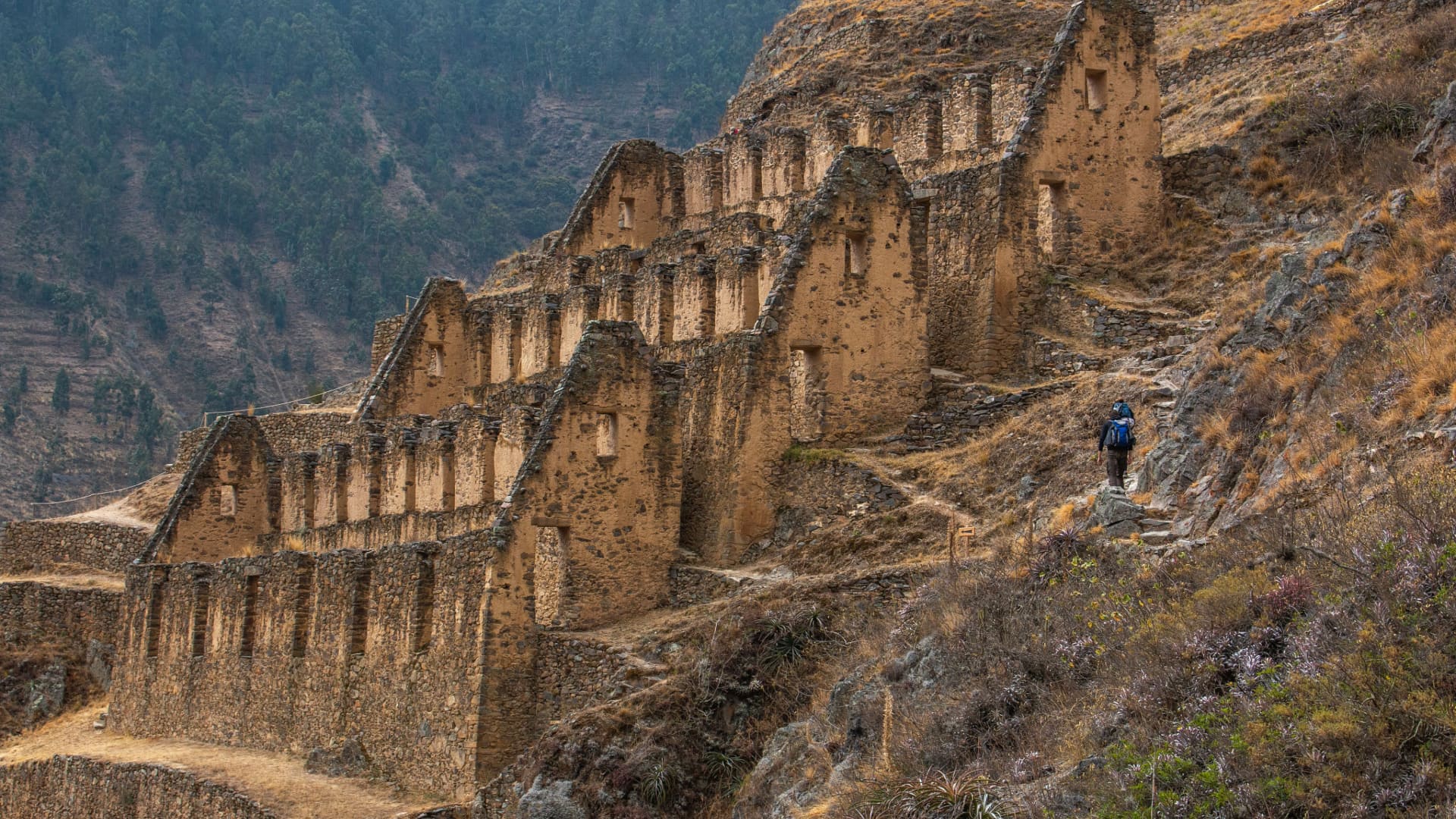 A distant view of the massive agricultural terraces and stone structures of the Ruins of Ollantaytambo, with a lone person walking on the ancient pathways, highlighting the scale of Inca engineering - Magical Cusco Travel Agency.