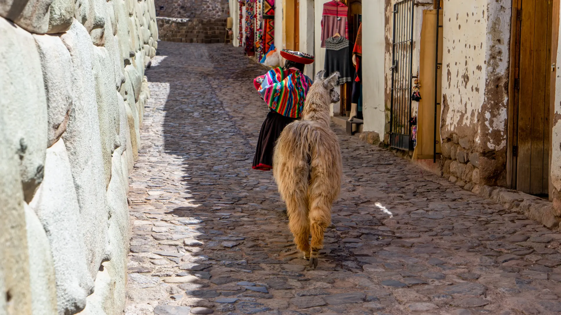A llama and a woman in traditional clothing walking down a cobbled street with a stone wall that shows classic Inca Architecture on the left. - Magical Cusco Travel Agency
