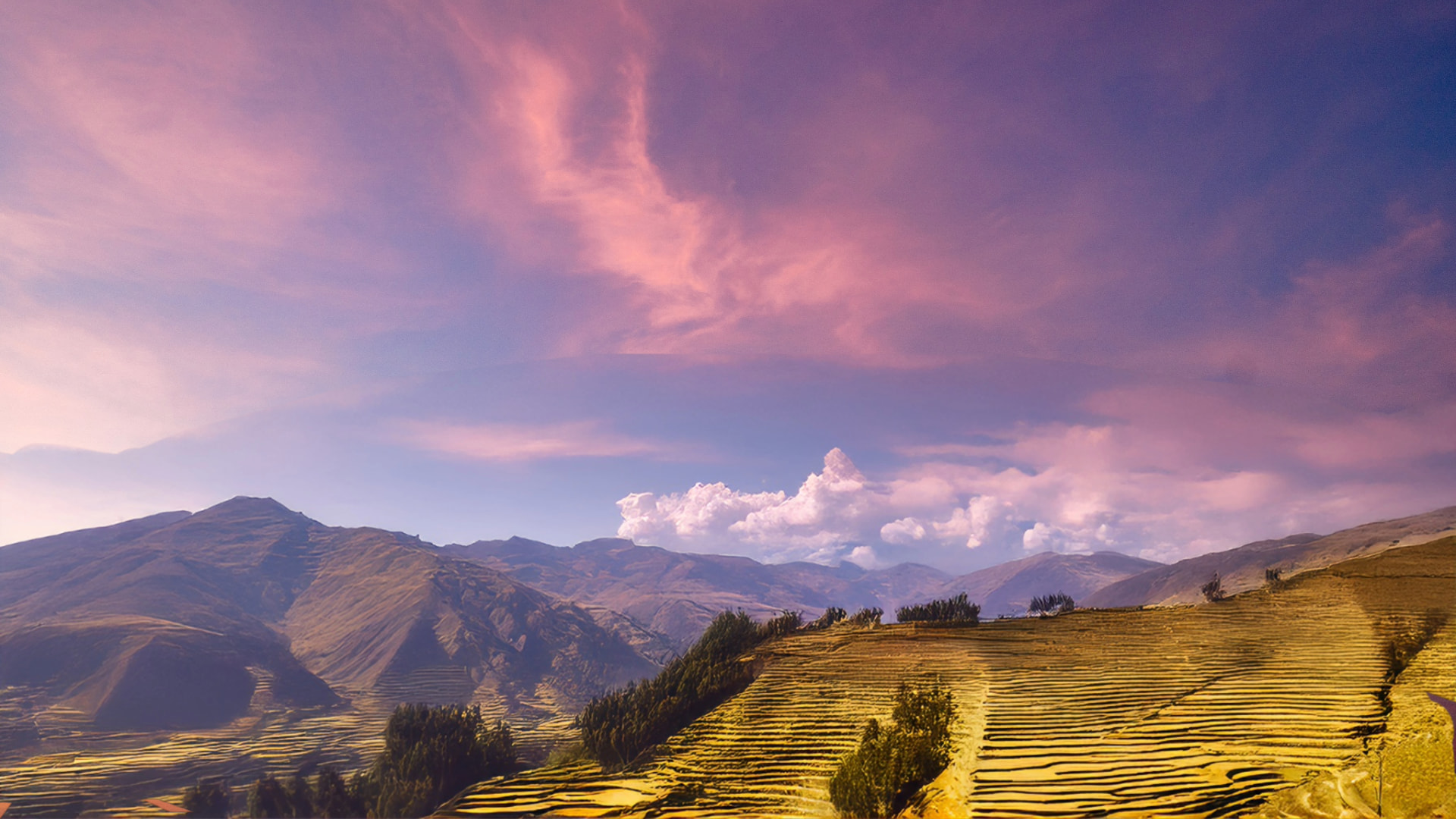 A wide panoramic shot of golden Inca terraces under a dramatic pink and purple sunset sky, illustrating the beautiful but varied climate conditions covered in our Sacred Valley Weather Guide. - Magical Cusco Travel Agency